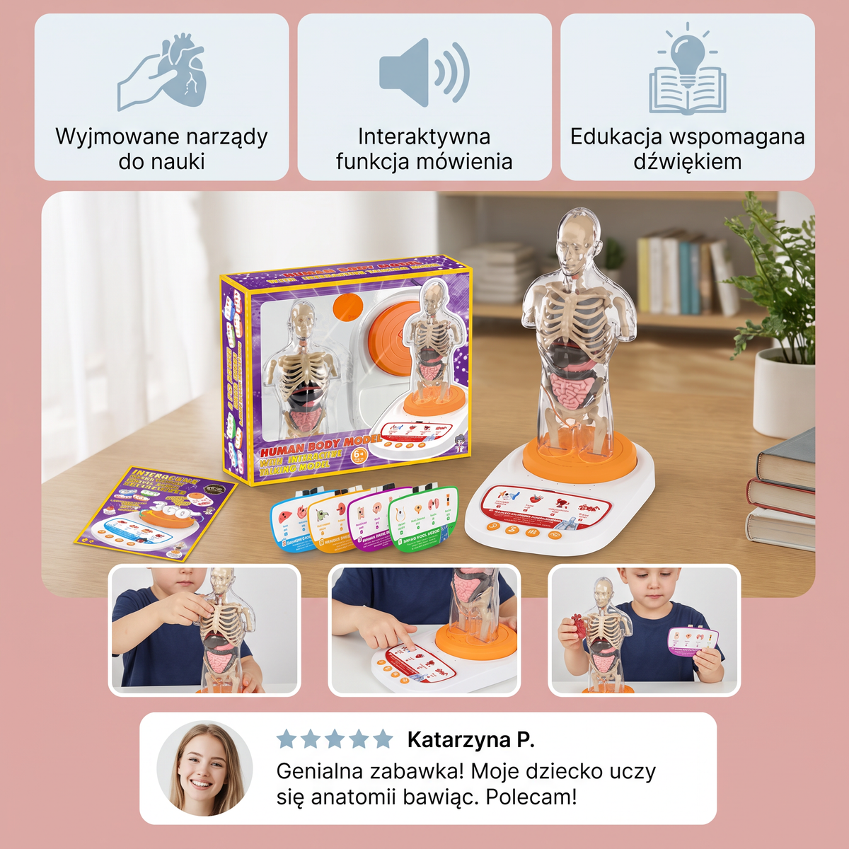 Interaktywny model anatomiczny z funkcją mówienia, wyjmowanymi narządami i nauką wspomaganą dźwiękiem