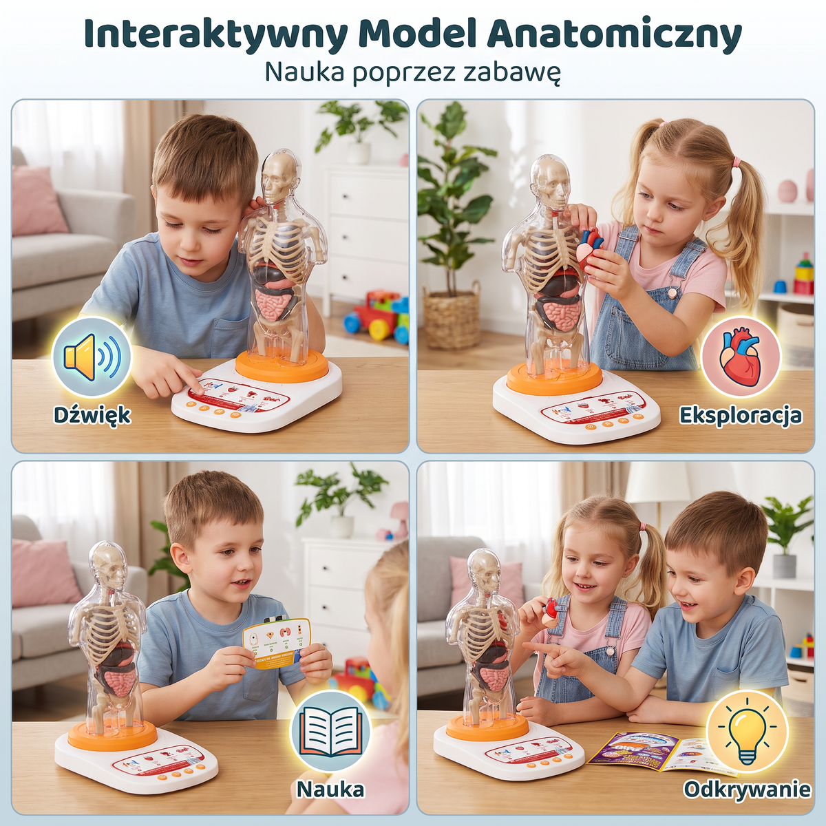 Interaktywny model anatomiczny z funkcją mówienia, wyjmowanymi narządami i nauką wspomaganą dźwiękiem