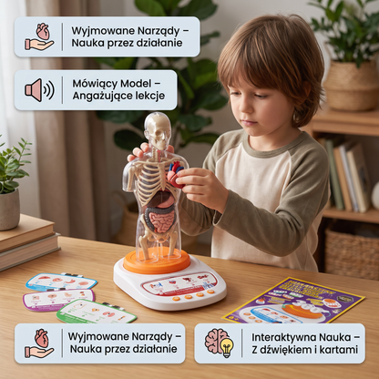 Interaktywny model anatomiczny z funkcją mówienia, wyjmowanymi narządami i nauką wspomaganą dźwiękiem