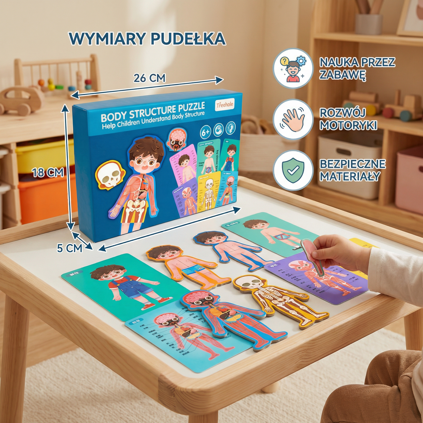 Drewniana układanka ciała człowieka dla dzieci – nauka anatomii poprzez zabawę
